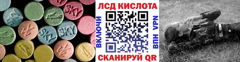 kraken вход  наркотики  Магадан  LSD-25 экстази ecstasy 