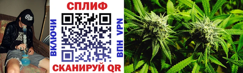 МАРИХУАНА ГИДРОПОН  omg tor  Магадан  даркнет сайт 
